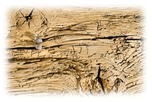 wood beam detail faded